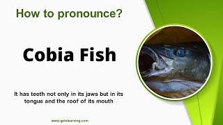 How to pronounce Cobia Fish Correctly in English [upl. by Puduns]