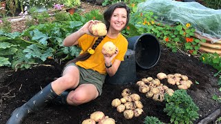 How to Grow Potatoes in Pots  Homegrown Garden [upl. by Esital]