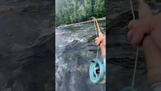 Salmonfishing Norway laksefiske fluefiske flugfiske flyfishing [upl. by Peony144]