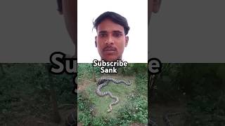 Sank l sankatmochan snake malayalam video shorts D K R India Vlogs 🇮🇳 [upl. by Finstad]