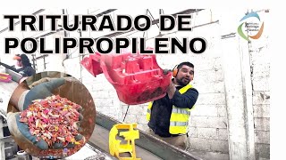 TRITURADO DE POLIPROPILENO INYECCIÓN [upl. by Rhines]