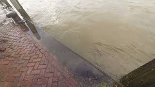 Hoogwater in Dordrecht 24 november 2023 [upl. by Schwerin]