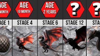 Evolution Of Balerion  By Stages  House of the Dragon [upl. by Merras880]