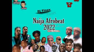 LATEST NAIJA AFROBEAT 2022 NONSTOP NEW YEARMIX BY DJ FINEX FT Ruger Ckay Davido Wizkid Omahlay Burna [upl. by Leonidas529]