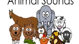 Animal Sounds Names for Kids Children Kindergarten Preschoolers Toddlers Animals Sound Effects [upl. by Suhail]