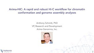 ArimaHiC A simple and robust HiC workflow [upl. by Ahsiemac]