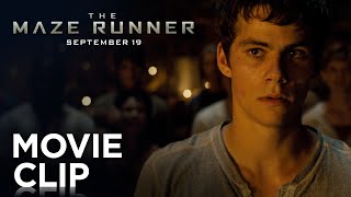 The Maze Runner  quotFightquot Clip HD  20th Century FOX [upl. by Yeldar]