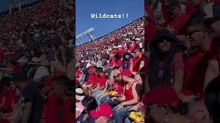 Arizona Wildcats Football football arizona [upl. by Rellek]