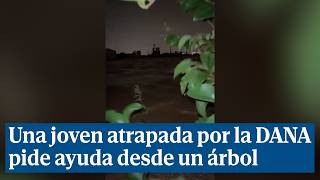 Una chica atrapada por la DANA pide ayuda agarrada a un árbol en Paiporta quotAquí no hay nadaquot [upl. by Scarface]