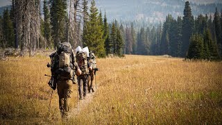 MustHave Gear for Your Backcountry Backpack Hunt [upl. by Attenor]