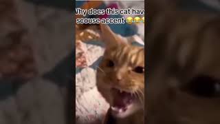 This cat has a scouse accent lol [upl. by Kalb260]