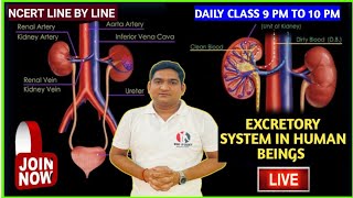 Excretory System in Humans  Class 10 Science Biology  Ncert with hindi Explanation live class [upl. by Antonio]