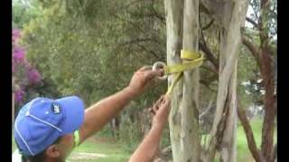 Installing Cambium or Friction Saver on Straight Limb [upl. by Ring]