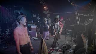 New Age Collective Live at Illusive Festival  Easy [upl. by Amitarp954]