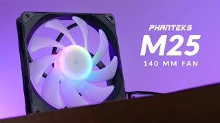 Phanteks M25 140 DRGB Review  The 140mm T30 Alternative [upl. by Bonneau90]