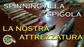 ATTREZZATURA PER LO SPINNING ALLA SPIGOLA TUTTO QUELLO CHE CI SERVE [upl. by Ardnnek988]