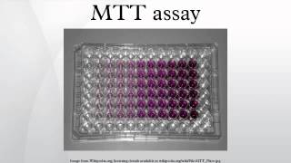 MTT assay [upl. by Plume632]