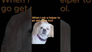 Im Sure My Dog Would Be Faster hvac hvaclife [upl. by Durkin]