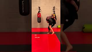 Jon Jones VS Gordon Ryan  Breakdown shorts jonjones bjj mma gordonryan [upl. by Orian]