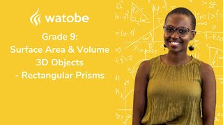 Grade 9  Surface Area amp Volume 3D Objects rectangular prisms [upl. by Etteyniv]