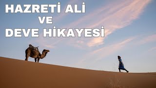 Hazreti Ali ve Devenin Hikayesi  Dini KÄ±ssalar [upl. by Ahsinik]