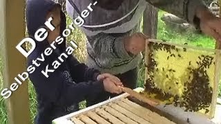 Bienen fuettern und ersten Blick in die Bienenkiste [upl. by Innep]