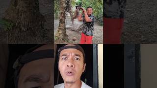 Ular Kobra funny comedy [upl. by Aldora101]