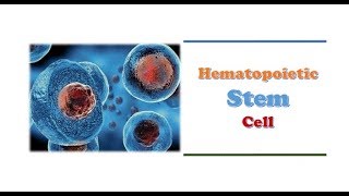 Hematology 🔤  Hematopoietic Stem Cells [upl. by Aniretak]