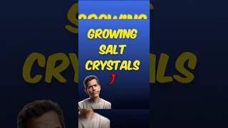 Growing Salt Crystalssalt crystallization crystals experiment chemistry chemistrylab [upl. by Tecla]