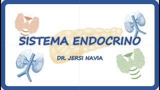 GENERALIDADES DEL SISTEMA ENDOCRINO [upl. by Anuhsal]