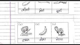 Std3 Hindi Most I M P Question 17 03 23 [upl. by Elaynad]