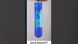 Precipitation reaction copper nitrate with sodium hydroxide experiment science chemical class10 [upl. by Eicyac810]