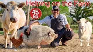 Helping a Farmer Feed and Care For His Animals Educational Farm Video For Kids [upl. by Shutz]