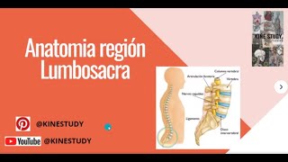 Anatomía Región Lumbosacra [upl. by Ottinger825]