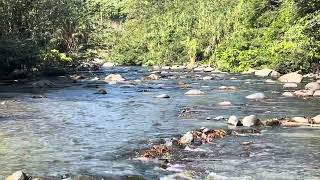 RÍO BAO EN RINCÓN DE PIEDRAS SAJOMA EN EL PASO DE JAMAMÚ [upl. by Mcdermott]