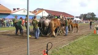 trekpaarden voor de sleepwagen [upl. by Charmion]