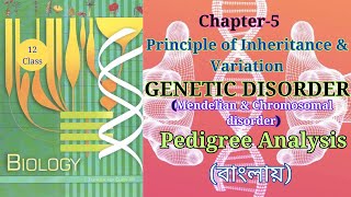 Class 12 genetic Disorder জীনগত রোগ theory fromncertbiology Harunbiozone [upl. by Ardna854]