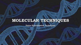 Molecular Techniques Probe Hybridization [upl. by Kcod]