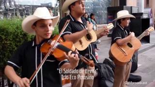 Trío Eco Potosino  La Petenera y el Soldado de Levita [upl. by Nolyar]