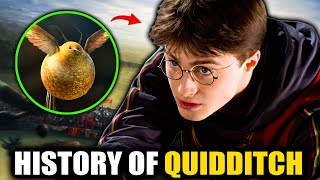 INSANE History of Quidditch 1050  2023  Harry Potter Explained [upl. by Kruter469]