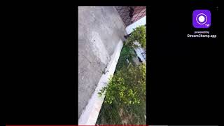 Smiley gad gaming went to internet badman malike house must watch [upl. by Lear694]