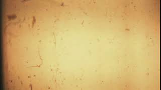 Vintage film overlay FX animation background stock footage [upl. by Branscum932]