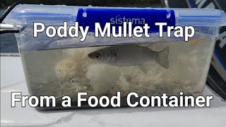 How to Make a Poddy Mullet Trap From a Tupperware Container [upl. by Starlin599]