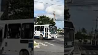 movimentação de ônibus no terminal de integração zona Sul Marcopolo Torino 2007 trans tropical [upl. by Ttam]