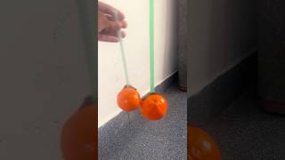 Life Doodles  Sumo Oranges 😂 lifedoodles doodle shortvideo sumo orange funnyvideo cartoon [upl. by Chiquita]