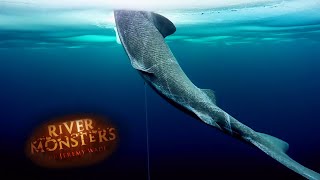 Catching A Mysterious Arctic Shark  SHARK  River Monsters [upl. by Idonna]