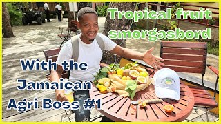 Tropical fruit tasting with the Jamaican Agri Boss [upl. by Kevyn499]