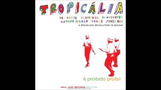 Caetano Veloso  Tropicalia [upl. by Dolores]