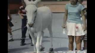 pinky the roller skating donkey 19571959 banning california [upl. by Latoya]