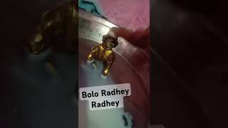 Radhey Radhey jai shree Krishna ji 🙏 ytshorts [upl. by Lleze]